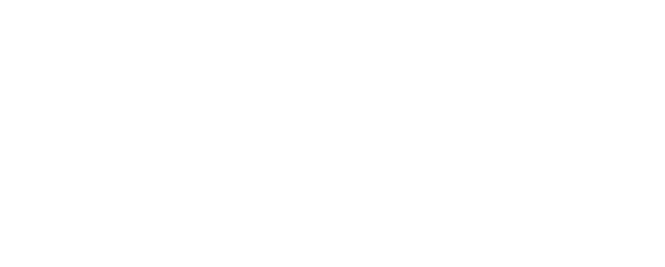 WCheck Motors